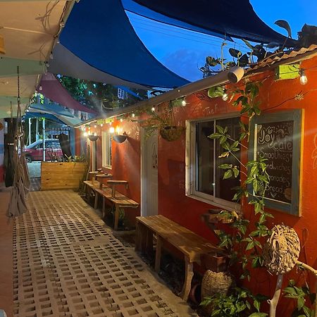 Wing Camp Pansiyon Cabarete Dış mekan fotoğraf
