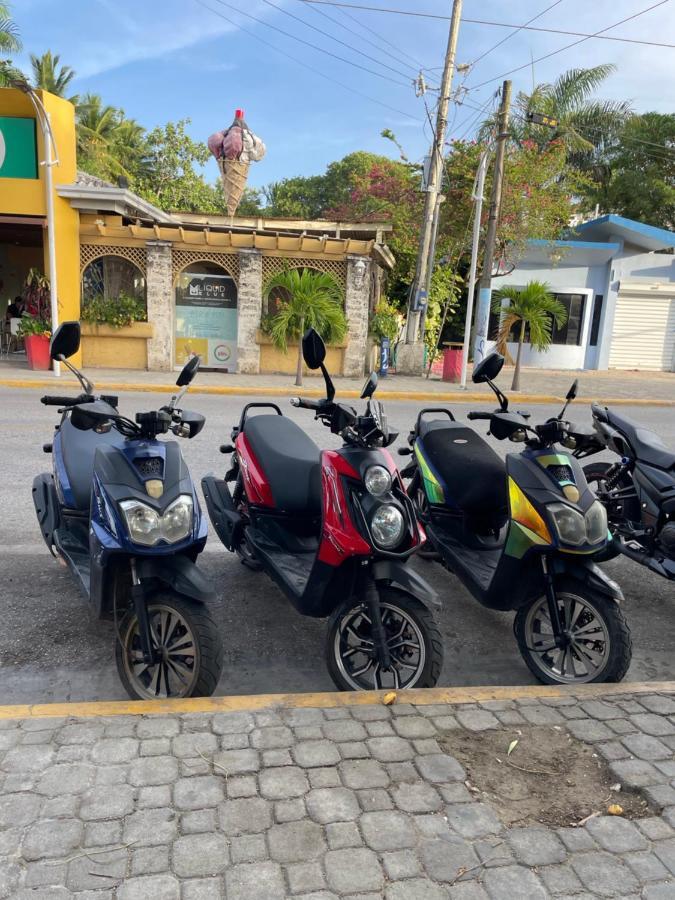 Wing Camp Pansiyon Cabarete Dış mekan fotoğraf