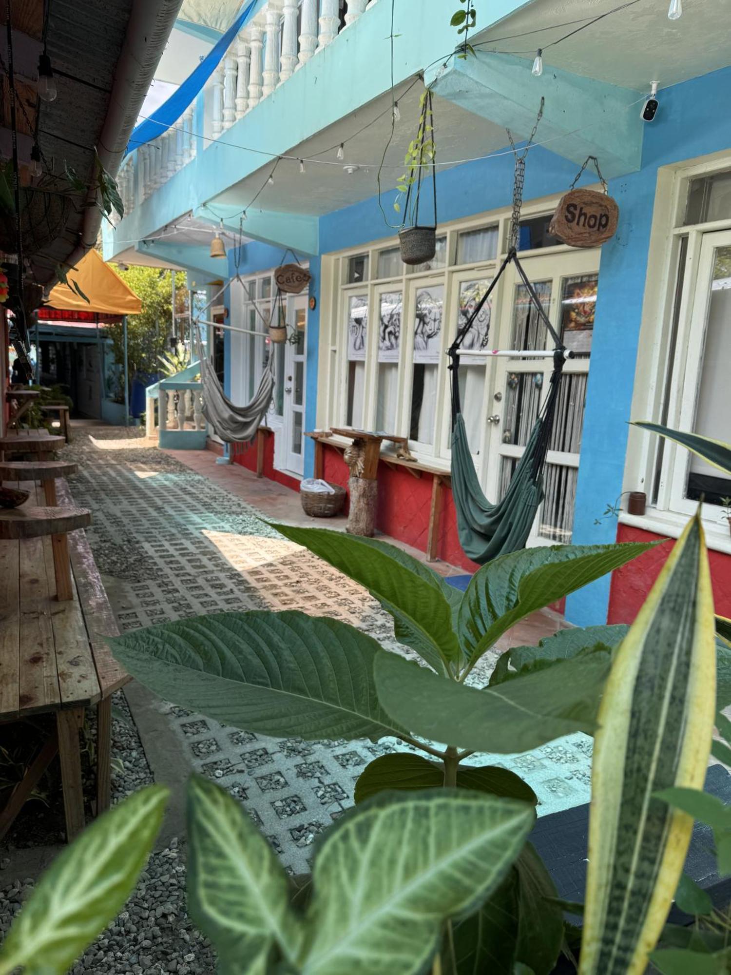 Wing Camp Pansiyon Cabarete Dış mekan fotoğraf